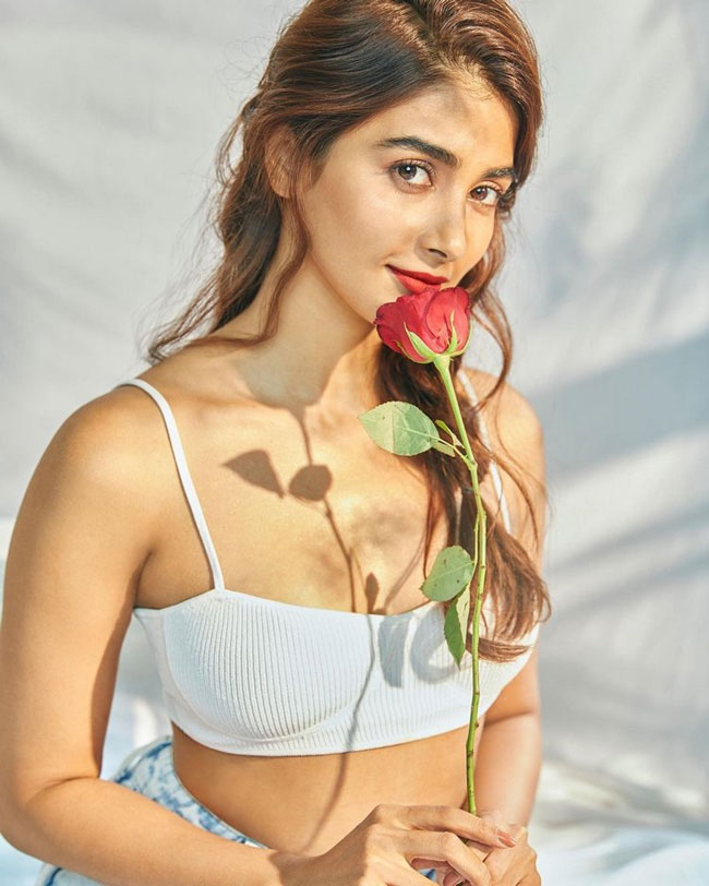 Pooja Hegde Instagram Pics